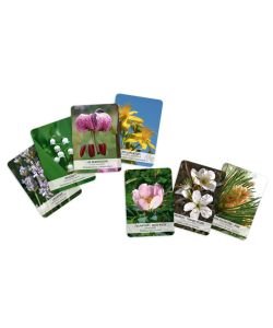 Jeu des 39 cartes d'élixirs floraux du dr Bach, 1 part